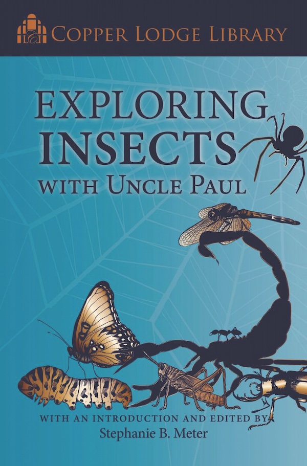 Exploring Insects with Uncle Paul